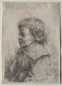 Egy fiú portréja a profilban alkotó: Rembrandt van Rijn