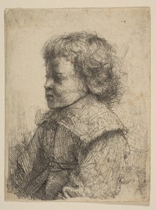 Fiú portréja, profilban, 1641. alkotó: Rembrandt van Rijn