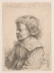 Egy fiú portréja, profilból alkotó: Rembrandt van Rijn