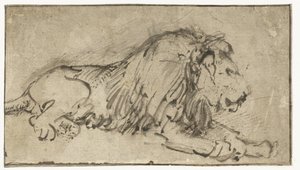 Fekvő oroszlán alkotó: Rembrandt van Rijn