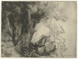 Szent Ferenc a fa alatt, imádkozik Szent Ferenc egy fa alatt imádkozik alkotó: Rembrandt van Rijn
