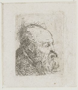 Férfi fejekről készült vázlatlap: idős, szakállas férfi, szinte jobbról profilból: félig nyitott szájjal alkotó: Rembrandt van Rijn