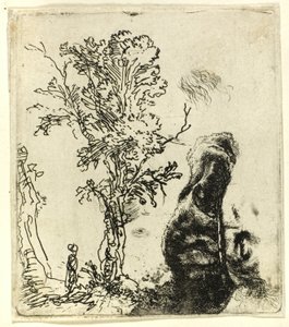 Lap két tanulmánnyal: egy fa és a bársonysapkát viselő művész fejének felső része alkotó: Rembrandt van Rijn