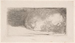 Alvó kiskutya alkotó: Rembrandt van Rijn