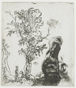 Tanulmánylap egy fával, valamint Rembrandt fejének felső részével, sapkával alkotó: Rembrandt van Rijn