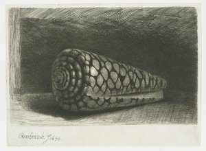 A héj alkotó: Rembrandt van Rijn