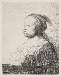 A fehér fekete alkotó: Rembrandt van Rijn