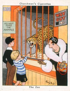 Állatkert (színes litográfia)