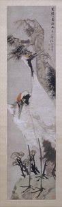 Daruk, fenyőfa és zuzmó, 1885-ben.