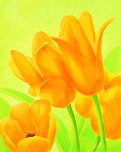 Élénk narancssárga tulipánok