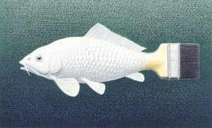 Brushfish, 2003, Színes ceruzarajz papírra alkotó: Rene Boin