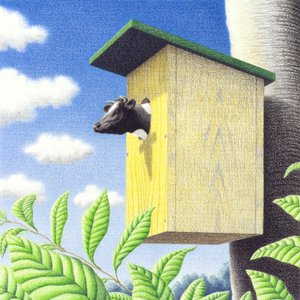 Kakukk alkotó: Rene Boin