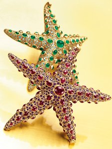 Két Starfish bross