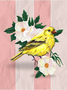  alkotó: Renee Machan Cottagecore Artist
