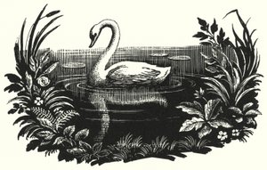 Hans Christian Andersen: A csúnya kiskacsa (litho) alkotó: Rex (after) Whistler