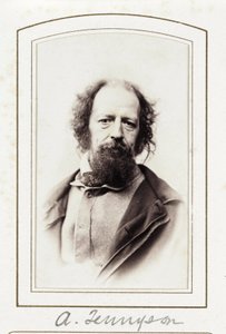 A Tennyson, 1864 alkotó: John Pardon