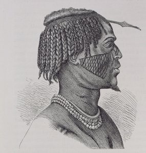 A Zandeh, "Az emberiség története" III. kötetéből, Friedrich Ratzel professzor, 1898