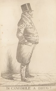 Bowden úr; A kamilla drog alkotó: Richard Dighton