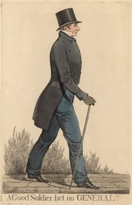 Sir Robert Thomas Wilson; Jó katona, de nem tábornok