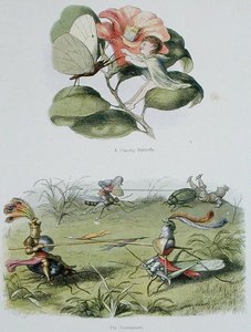 Egy táncoló pillangó és A torna, illusztrációk William Allingham és Andrew Lang „Tündérországban: Képek sorozata az elf-világból” című művéből (színes litó) alkotó: Richard Doyle