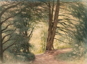 Box Hill, Surrey alkotó: Richard Doyle
