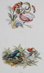 Flörtölés és lopás, illusztrációk William Allingham és Andrew Lang „Tündérországban: Képek sorozata az elf-világból” című művéből (színes litó) alkotó: Richard Doyle