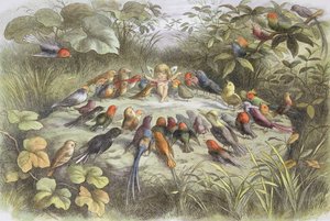 Musikprobe im Feenland (Illustration aus "Im Feenland. Bilder aus der Elfen-Welt", von William Allingham und Andrew Lang