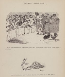 Oldal a Brown, Jones és Robinson urak amerikai körútjából (metszet) alkotó: Richard Doyle
