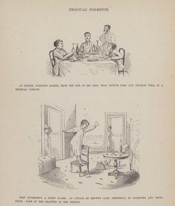 Oldal a Brown, Jones és Robinson urak amerikai körútjából (metszet) alkotó: Richard Doyle