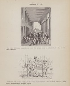 Oldal a Brown, Jones és Robinson urak amerikai körútjából (metszet) alkotó: Richard Doyle