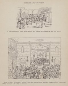Oldal a Brown, Jones és Robinson urak amerikai körútjából (metszet) alkotó: Richard Doyle