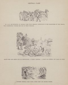Oldal a Brown, Jones és Robinson urak amerikai körútjából (metszet) alkotó: Richard Doyle