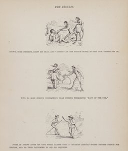 Oldal a Brown, Jones és Robinson urak amerikai körútjából (metszet) alkotó: Richard Doyle