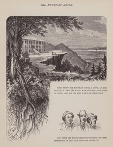 Oldal a Brown, Jones és Robinson urak amerikai körútjából (metszet) alkotó: Richard Doyle