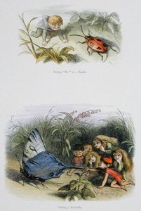 „Bo!” a Bogárhoz és a Pillangó ugratása, illusztrációk William Allingham és Andrew Lang „Tündérországban: Képek sorozata az elf-világból” című filmből (színes litó) alkotó: Richard Doyle