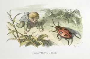 Nemet mond! egy bogárnak alkotó: Richard Doyle