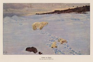 Jegesmedve és kölykei (színes litográfia) alkotó: Richard Friese