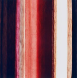 Stripe XI, 2005