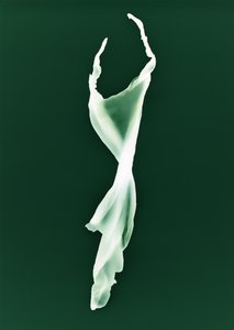 Cím nélkül, 2004 alkotó: Richard Green