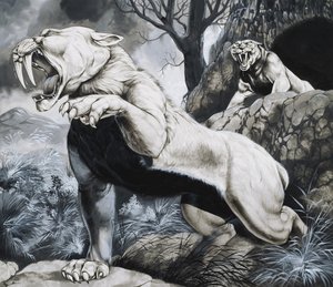Szablyafogú tigrisek (gouache, papír)