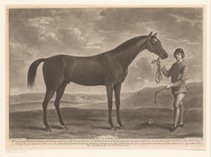 Racepaard találkozott zsokéval Matchem (cím az objektumon)