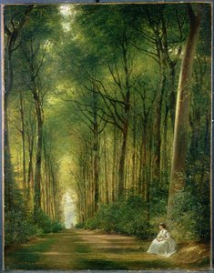 A Beech Avenue, Denbies, 1870