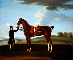 Sir John Frederick öbölvadásza, „Bucephulus”, akit a vőlegénye tart Hamptonban alkotó: Richard Roper