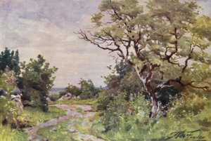 Field Path, Llanrug közelében (színes litho) alkotó: Robert (after) Fowler