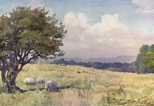 Sunny Field, Llanberis közelében (színes litho) alkotó: Robert (after) Fowler
