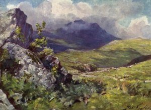 Kilátás Moelwynre (színes litho) alkotó: Robert (after) Fowler
