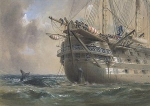 H.M.S. Agamemnon lefekteti az atlanti távírókábelt 1858-ban: egy bálna átlépi a vonalat, 1865-66.