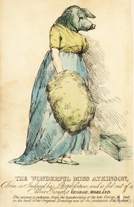 A disznóarcú hölgy, Londonban 1815 körül híressé vált.