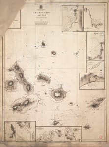 A Galápagos-szigetek térképe, amelyet a HMS "Beagle" hajóútja során mértek fel. alkotó: Robert Fitzroy