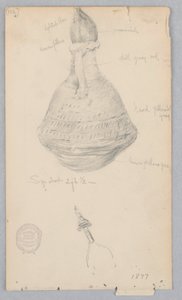 Kerámia edény alkotó: Robert Frederick Blum